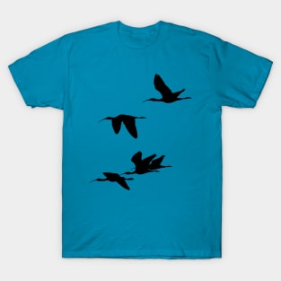 Silhouette of Glossy Ibises In Flight T-Shirt